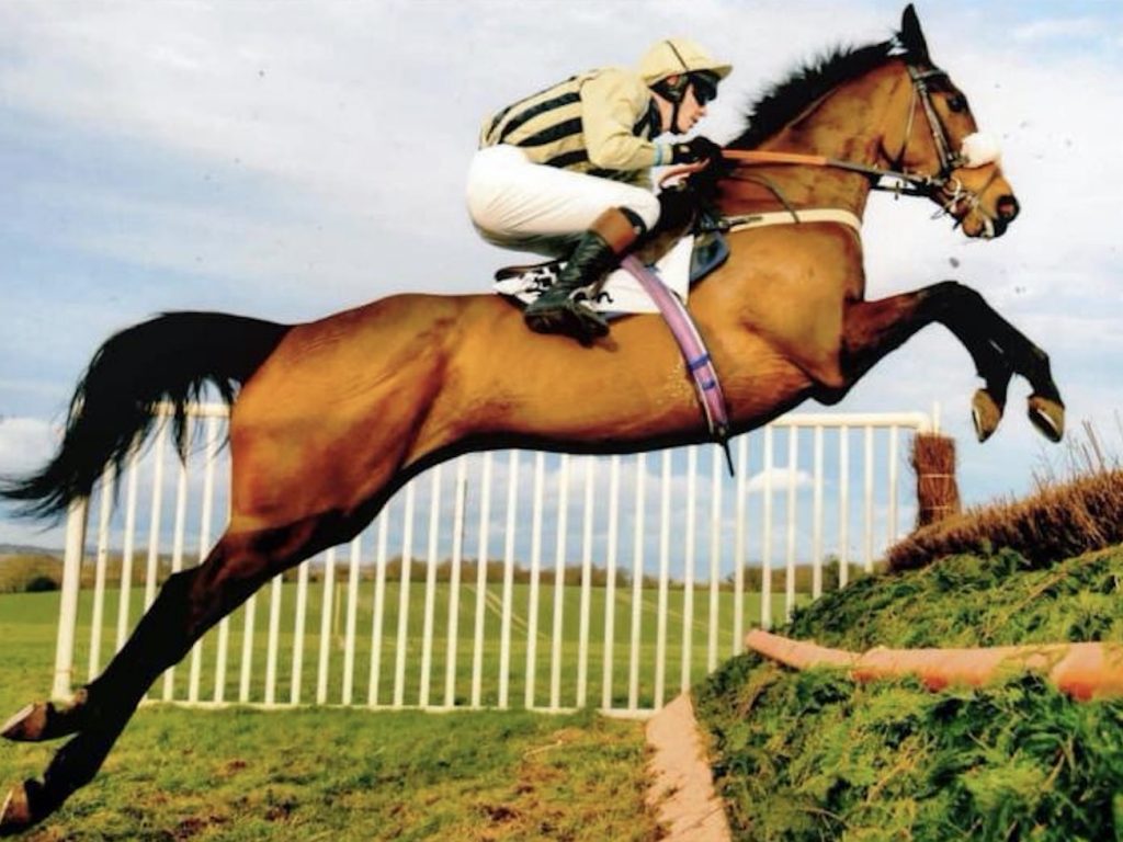 revelshill revelshill